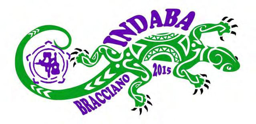 indaba 1