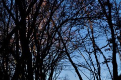 512789e2-52e0-47d0-8c60-41343ed44403
