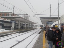 IMG_2842