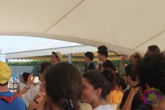 IMG_0587