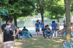 IMG_0599