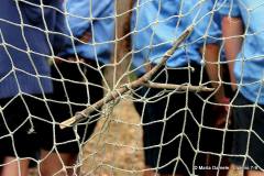 Marta-Damele-Livorno-7-9-