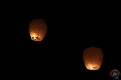 IMG_7402