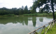 20160611_124650