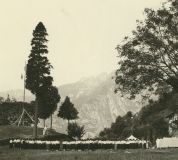 Messaalcampo