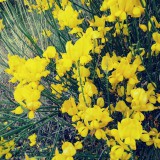 20170617_201003_Film1