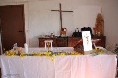 IMG_8566