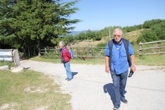 IMG_8615